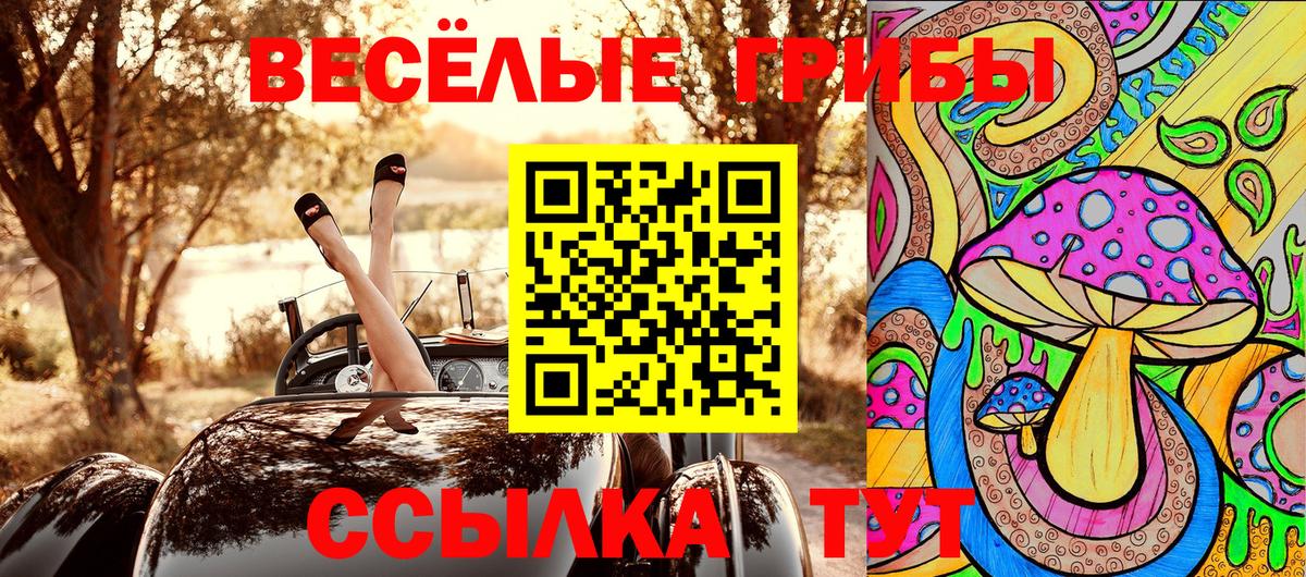 Псилоцибиновые грибы Psilocybine cubensis Тимашёвск