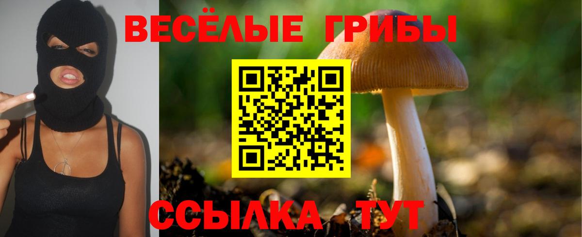 Псилоцибиновые грибы Cubensis  Галлюциногенные грибы ЛСД  Тимашёвск  Вход с VPN 