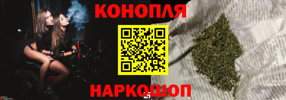 Канабис сатива Тимашёвск